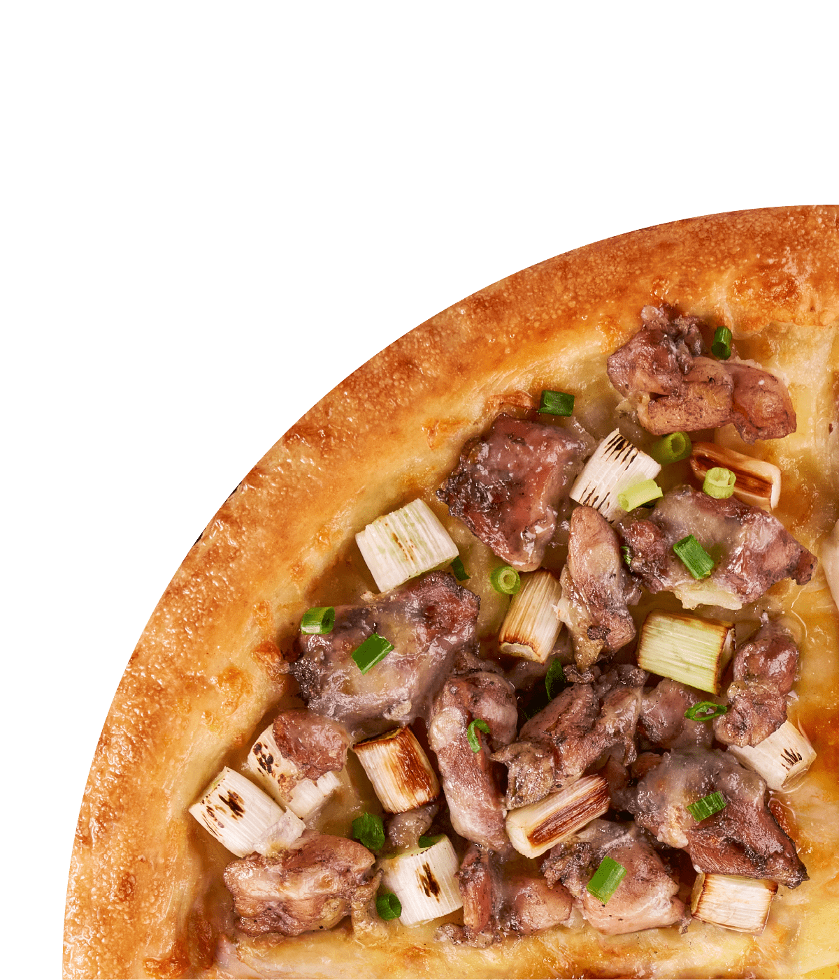 博多華善炭火焼きピザ